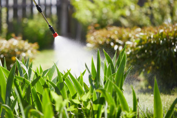 24/7 Emergency Termite Control experts in Inwood, WV