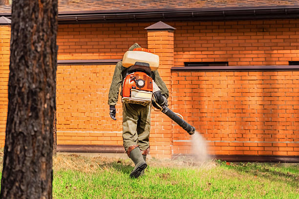 Trusted Emergency Pest Control service in Inwood, WV - Nex Pest Control